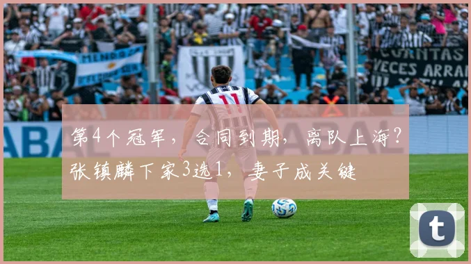 第4个冠军，合同到期，离队上海？张镇麟下家3选1，妻子成关键